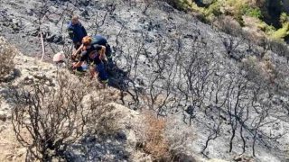 Στιγμές αγωνίας: Η διάσωση πυροσβέστη κατά τη διάρκεια κατάσβεσης αναζωπύρωσης στην Πάτρα