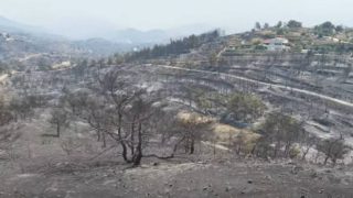 Στάχτη και αποκαΐδια στη Χίο: Drone καταγράφει από ψηλά το μέγεθος της καταστροφής μετά τη φωτιά (video)