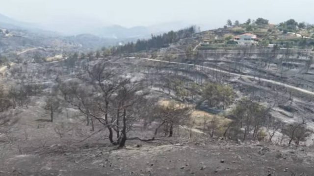 Στάχτη και αποκαΐδια στη Χίο: Drone καταγράφει από ψηλά το μέγεθος της καταστροφής μετά τη φωτιά (video)
