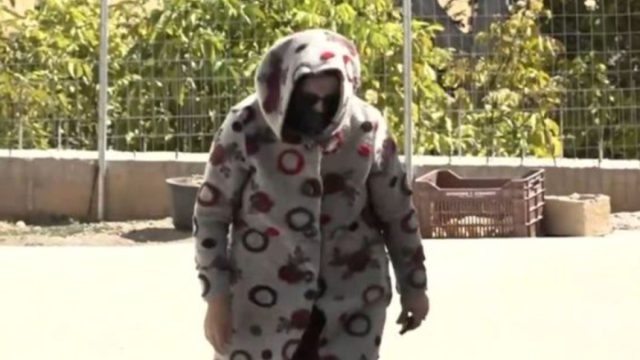 Απίθανη η δράση της 62χρονης στη Βοιωτία: Έπαιρνε και τις επιδοτήσεις του ΟΠΕΚΕΠΕ