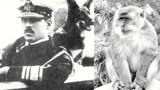 Σαν σήμερα, 17 Σεπτεμβρίου 1920: Μαϊμού δαγκώνει τον Βασιλιά των Ελλήνων Αλέξανδρο Α’- Πεθαίνει λίγες μέρες μετά από σηψαιμία