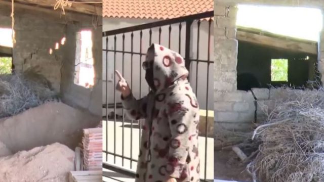 Βοιωτία: Ανοίγουν τραπεζικοί λογαριασμοί της 62χρονης -Τα στοιχεία που αποκαλύπτουν το μεγάλο ψέμα για τον θάνατο της μάνας της