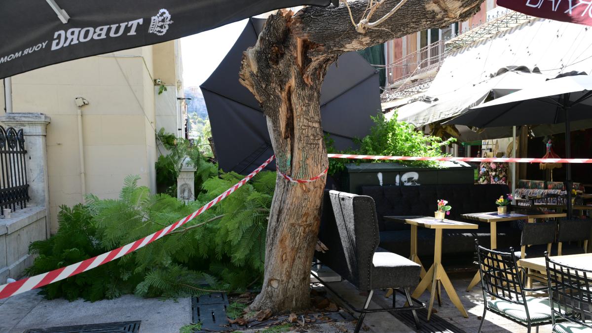 Πτώση δέντρου στην πλατεία Αγίας Ειρήνης: «Έγινε κι άλλο συμβάν πριν από 3 εβδομάδες» – Στο νοσοκομείο μία γυναίκα