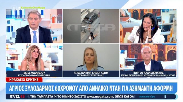 «Καταλαβαίνετε τι ανατροφή έχει το παιδί από την οικογένεια»: Η τοποθέτηση της Δημογλίδου για τον ξυλοδαρμό στο Ηράκλειο
