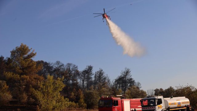 Φωτιά σε δασική έκταση στο Εξαμίλι Θεσσαλονίκης
