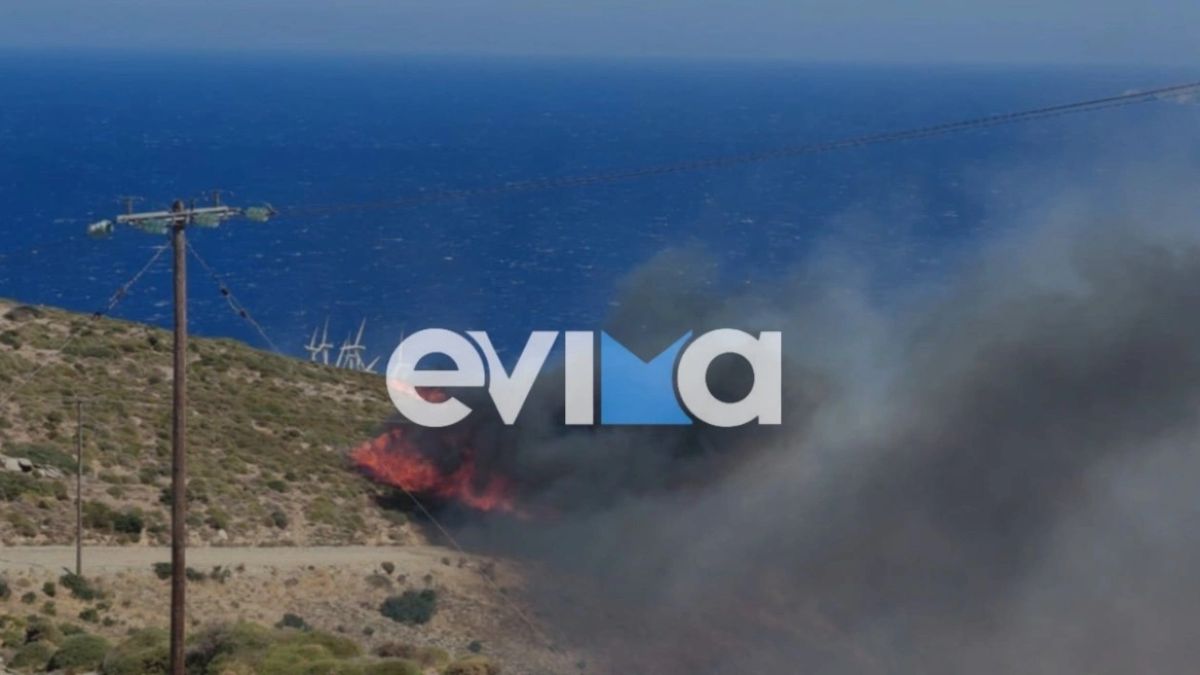 Πυρκαγιά στην Κάρυστο – Έξι εναέρια μέσα επιχειρούν για την κατάσβεση