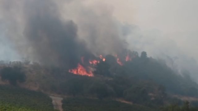 Μαίνεται η φωτιά στο Άλσος Αχαΐας: Ενισχύθηκαν οι πυροσβεστικές δυνάμεις