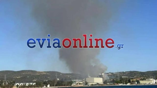 Συναγερμός στο Μηλάκι Ευβοίας: Φωτιά κοντά στο εργοστάσιο της ΔΕΗ