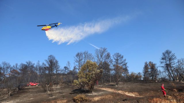 Φωτιά στη Χαλκιδική: Συνδράμουν και εναέρια μέσα