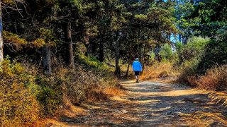 Καιρός 8/9: Ήλιος, ζέστη και δυνατός βοριάς – Πού θα σημειωθούν τοπικές μπόρες σύμφωνα με Αρνιακό και Αρναούτογλου