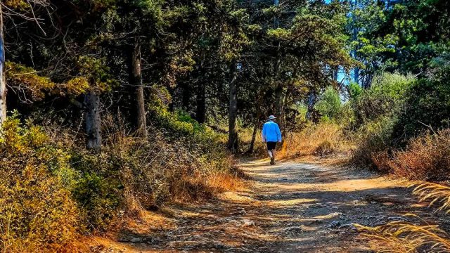 Καιρός 8/9: Ήλιος, ζέστη και δυνατός βοριάς – Πού θα σημειωθούν τοπικές μπόρες σύμφωνα με Αρνιακό και Αρναούτογλου