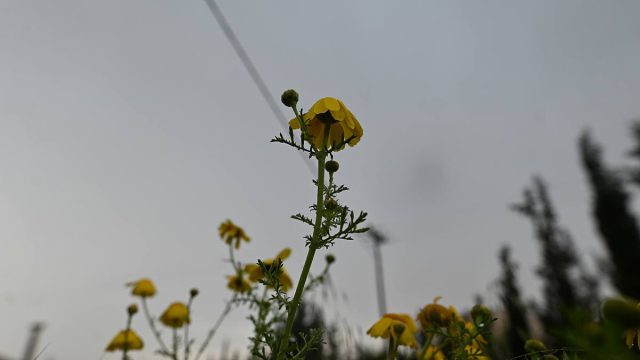 Καιρός σήμερα 25/9: Χαμηλότερες θερμοκρασίες με καταιγίδες και βροχές – Η πρόγνωση Σούζη και Καλλιάνου