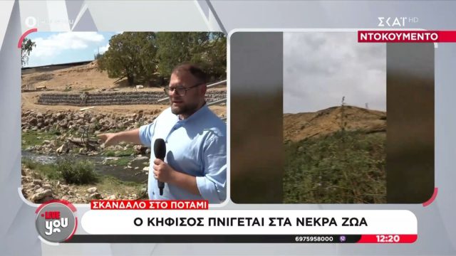 Περιβαλλοντικό έγκλημα μες στην Αθήνα: Ψόφια πρόβατα στην κοίτη του Κηφισού