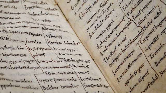 «Tabula rasa»: Ποια η σημασία αυτής της λατινικής φράσης
