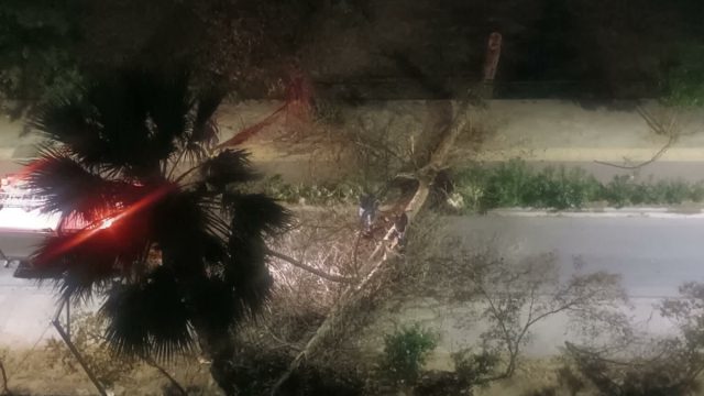 Θυελλώδεις άνεμοι σάρωσαν τον Βόλο – Έπεσαν δέντρα και καταπλακώθηκαν οχήματα