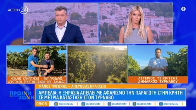 Η ξηρασία πλήττει τους αμπελώνες: Καμπανάκι κινδύνου από Κρήτη, ανησυχία στον Τύρναβο