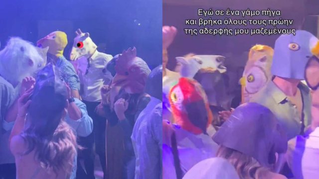 Το απόλυτο έπος σε γλέντι γάμου: Καλεσμένοι χορεύουν ντυμένοι… ζώα! (video)