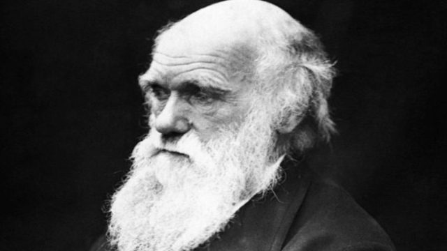 2 Οκτωβρίου 1836: Η επιστροφή που άλλαξε την επιστήμη – Το ταξίδι του Δαρβίνου με το HMS Beagle