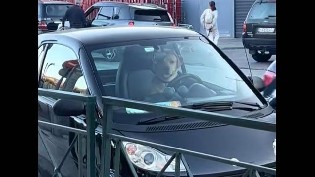 Τύφλα να έχει ο Χάμιλτον: Σκύλος στη θέση οδηγού έτοιμος να βάλει… μπρος στο αυτοκίνητο (video)