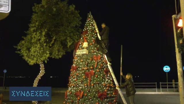 Τέλη Οκτώβρη με άρωμα… μελομακάρονου: Στολίστηκε το πρώτο δέντρο στο κέντρο της Θεσσαλονίκης