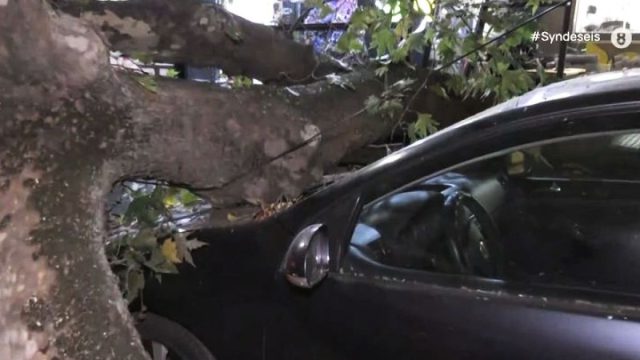 Δέντρο έπεσε σε Ι.Χ. στην Άνω Τούμπα στη Θεσσαλονίκη – Εκτροπές κυκλοφορίας