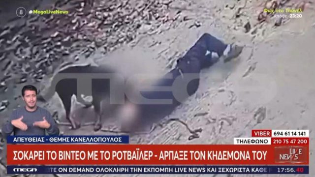 Μεσσηνία: Ροτβάιλερ κατασπάραξε σε ηλικιωμένο – Αστυνομικός τον έσωσε σκοτώνοντας το ζώο