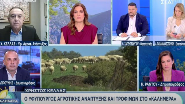Lockdown για αιγοπρόβατα λόγω ευλογιάς: Ανοιχτά παραμένουν όλα τα ενδεχόμενα