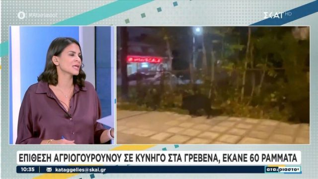 Άγρια επίθεση αγριογούρουνου σε κυνηγό στα Γρεβενά – Τραυματίστηκε σοβαρά και έκανε 60 ράμματα