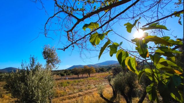 Αίθριος ο καιρός σήμερα (10/10) και άνοδος της θερμοκρασίας: Πότε επιστρέφουν οι βροχές – Η πρόγνωση από Ρήγου και Αρναούτογλου