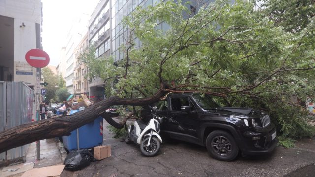 Προβλήματα στην Αττική λόγω της κακοκαιρίας: Πτώση δέντρου, εκτός λειτουργίας 4 στάσεις του Τραμ