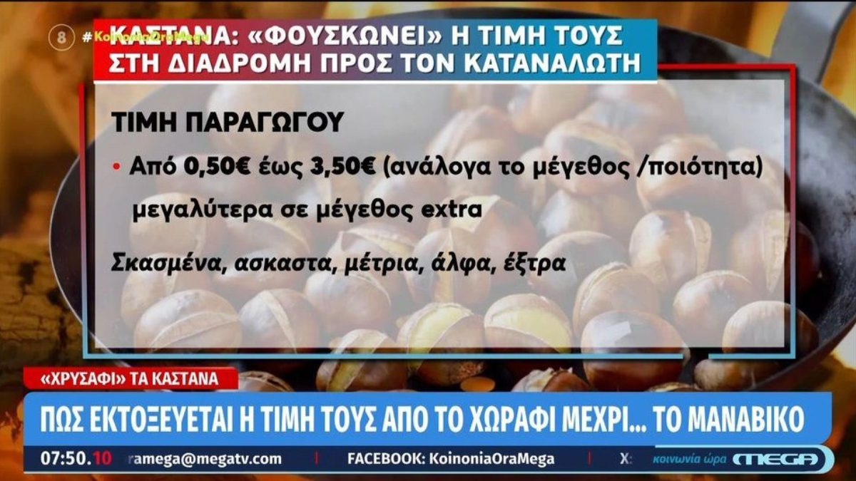 «Χρυσάφι» τα κάστανα: «Φουσκώνει» η τιμή τους στη διαδρομή προς τον καταναλωτή