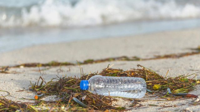 Στοιχεία σοκ: Στα υψηλότερα επίπεδα των τελευταίων 15 ετών η ρύπανση από πλαστικά στην Ελλάδα