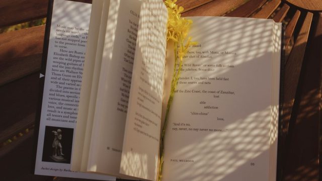 Τι σημαίνει η φράση «Πύξ λάξ»;