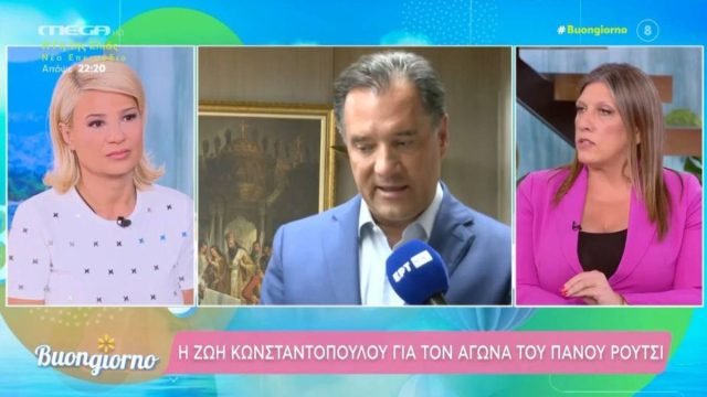 «Πυρά» Κωνσταντοπούλου κατά Γεωργιάδη: «Είναι ένα χυδαίο πρόσωπο που τον έχει βάλει ο Μητσοτάκης μπροστά»