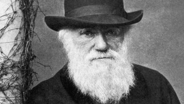 Σαν σήμερα, 24 Νοεμβρίου 1859: Η καταγωγή των ειδών – Η ημέρα που ο Δαρβίνος άλλαξε τον κόσμο