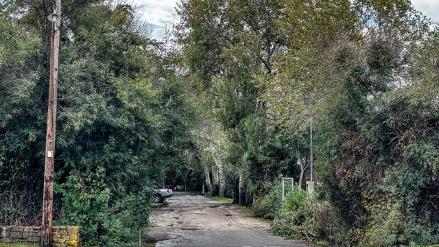 Φοινικούντα: Καλούν ξανά για κατάθεση τον ανιψιό και τη σύντροφό του – Τι βρίσκεται στο επίκεντρο των Αρχών