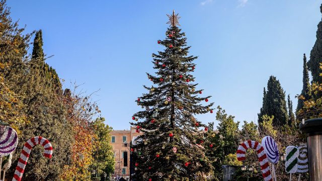Αντίστροφη μέτρηση για τη φωταγώγηση του Χριστουγεννιάτικου δέντρου στο Σύνταγμα – Υδάτινα σόου στην Ομόνοια