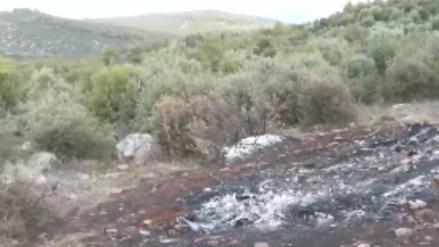 Μυστήριο με το πτώμα στη Βοιωτία: Απανθρακωμένο τουλάχιστον δύο 24ωρα – «Καλοσχεδιασμένη ενέργεια»