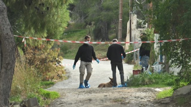 Ανατροπή με τη δολοφονία στη Σαλαμίνα: Ομολόγησε η νύφη της 75χρονης