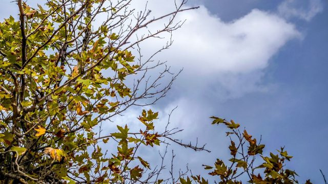 Καιρός 11/11: Περιορίζονται σταδιακά οι βροχές – Η εκτίμηση Τσατραφύλλια και Μαρουσάκη