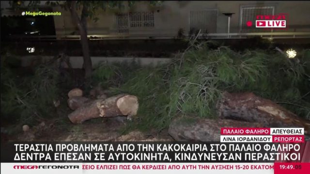 Χαμός στο Παλαιό Φάληρο λόγω της κακοκαιρίας Adel: Ξεριζωμένα δέντρα έπεσαν σε αυτοκίνητα, κινδύνευσαν περαστικοί