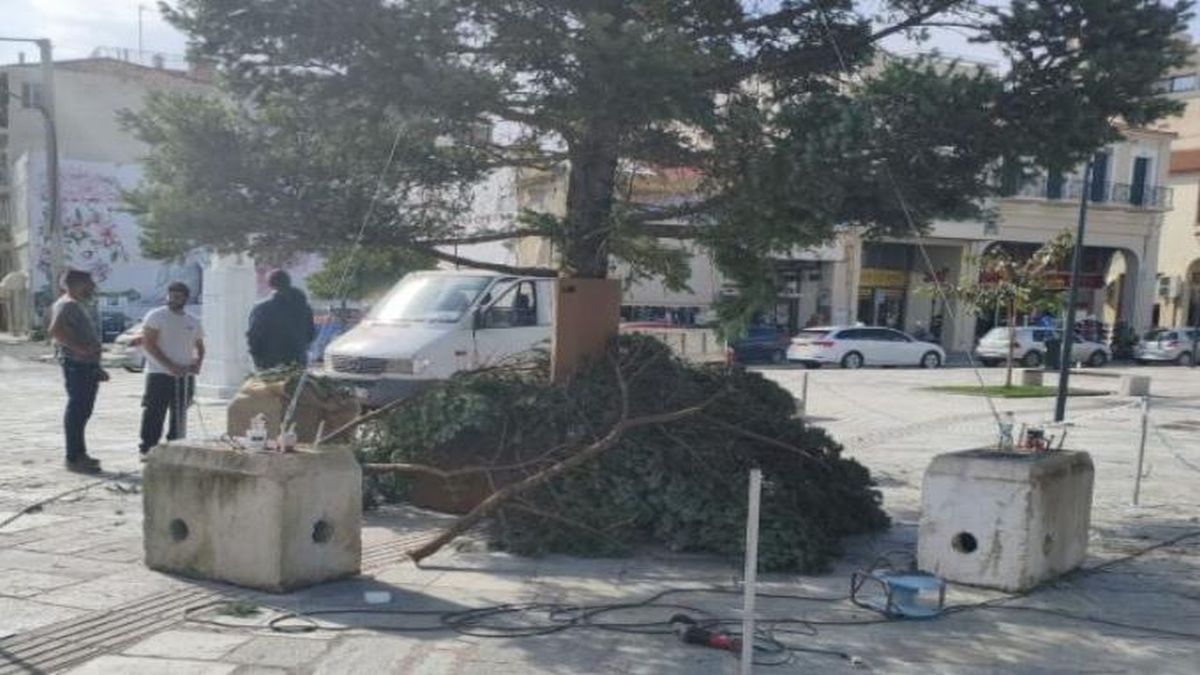 Αν είναι δυνατόν: Στην Καλαμάτα στόλισαν Χριστουγεννιάτικο δέντρο πάνω σε όδευση τυφλών!