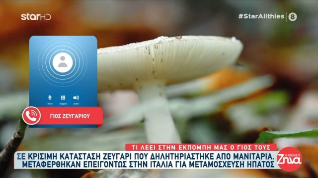 «Είναι πολύ πιεστικός ο χρόνος»: Όσα αναφέρει ο γιος του ζευγαριού που κατανάλωσε δηλητηριώδη μανιτάρια