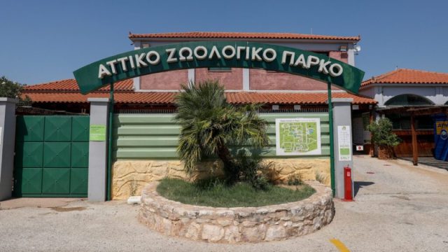 «Καμπάνα» για τον τραυματισμό 3χρονου στο Αττικό Ζωολογικό Πάρκο – Τελεσίδικη καταδίκη των υπευθύνων