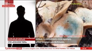 «Παρουσιάζουν μικρή βελτίωση… η κατάσταση είναι κρίσιμη», λέει ο γιος του ζευγαριού που κατανάλωσε δηλητηριώδη μανιτάρια