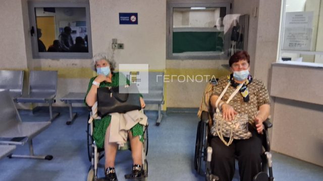 «Χάθηκε το φως από τα μάτια μας»: Σοκάρει επιβάτιδα του λεωφορείου στο Βελεστίνο – Λόγω σκύλου το τροχαίο