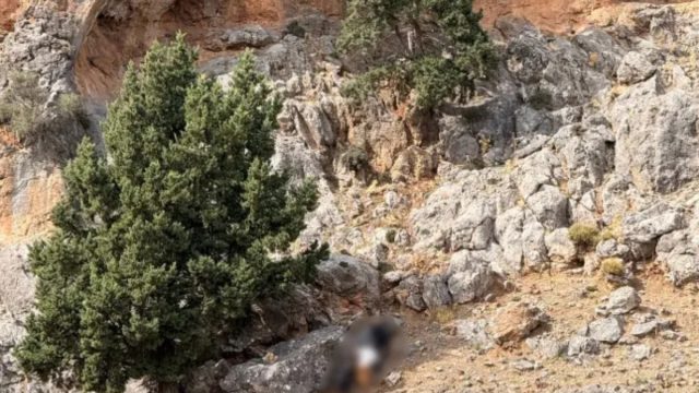 Βορίζια: Η σπηλιά και τα όπλα που έκρυβε ο γαμπρός του 39χρονου – Φωτογραφίες