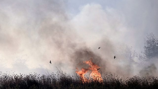 Τραγωδία στην Εύβοια: Νεκρός άνδρας από φωτιά σε χωράφι