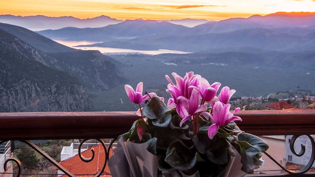 Fedriades Delphi Hotel: Πλούσια φιλοξενία με υπέροχη θέα