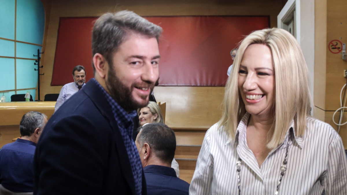 Διεγράφη από το ΠΑΣΟΚ ο κουμπάρος του Ανδρουλάκη: Τον είχε επαναφέρει, ενώ τον είχε διώξει η Φώφη Γεννηματά